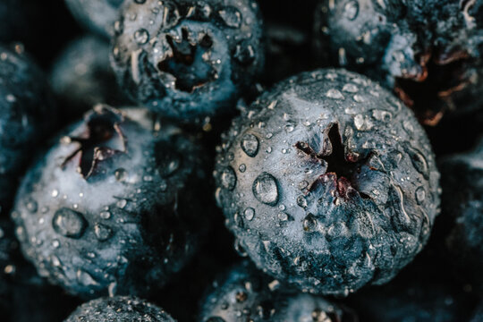 Closeup of blueberries
