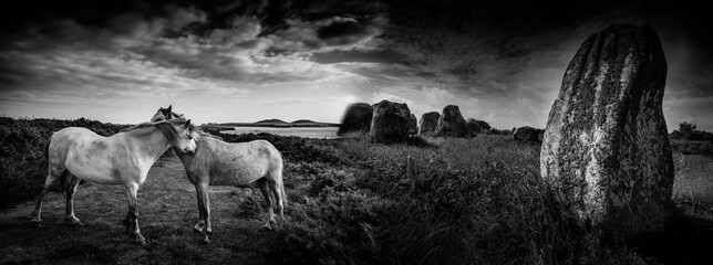 big neolitic megaliths - menhirs in Carnac France and horses