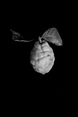 citron italien  en noir et blanc