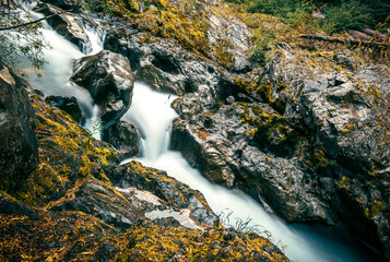 Washington Forest Creek