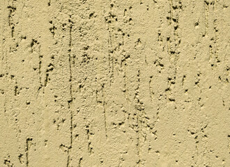 Beige texture of decorative plaster with imitation of bark beetle. Abstract background.