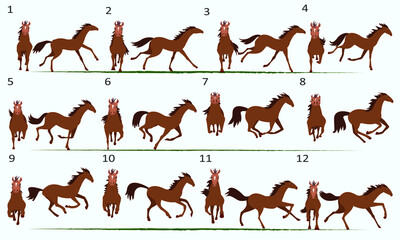 Animation of a 2D horse. Twelve key poses. Front view and side view.