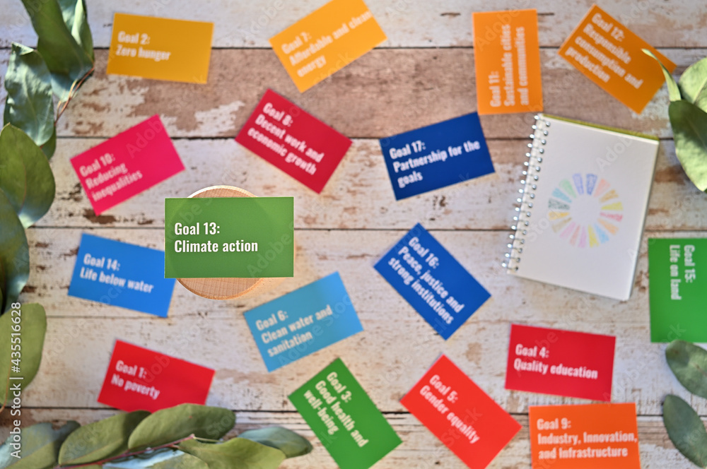 Poster there is a card with the statement goal 13:climate action on table one of the goals of the sdgs and 