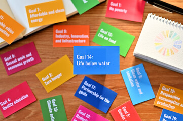 There is a card with the statement Goal 14:Life below water on table one of the goals of the SDGs and a symbol.