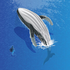 Isometric humpback whale with water spirit