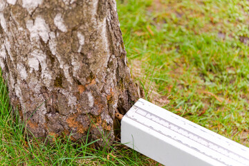 Checking wood for rotten areas. A special device for analyzing the tree for its health. The device was leaned against a tree to check the quality.