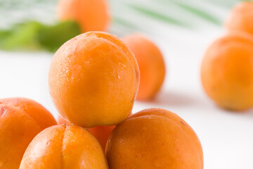 Fresh apricots fruit on white background