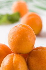  Fresh apricots fruit on white background