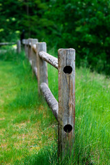 Wooden old fence in woods