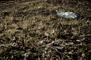 Environmental concept. Forest with trash, plastic rubbish. garbage waste in environment woodland. Ecological problem with Empty used dirty plastic bottles.