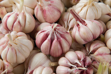 Garlic Cloves and Garlic Bulb isolated on white background