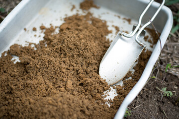 Soil sampling in agriculture farm