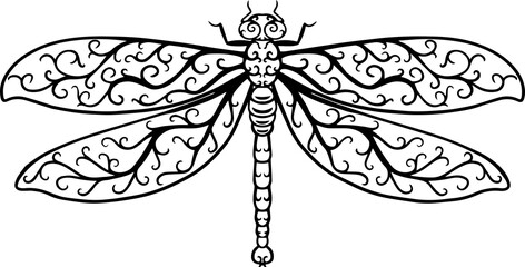 Hand drawn decorative dragonfly on white background