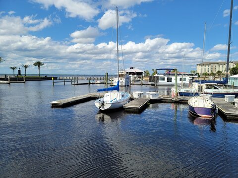 boats in marina