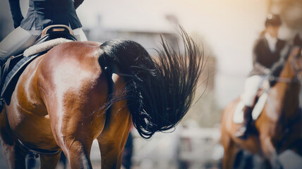 The fluttering black tail of a bay galloping horse. Overcome obstacles.