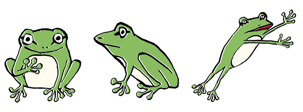 738 Best ニホンアマガエル Images Stock Photos Vectors Adobe Stock