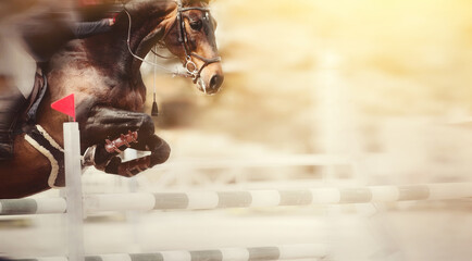 The bay horse overcomes an obstacle.Show jumping