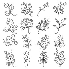 Branches and leaves of plants. Vector contour drawing on an isolated background. Doodle hand-drawn illustrations.