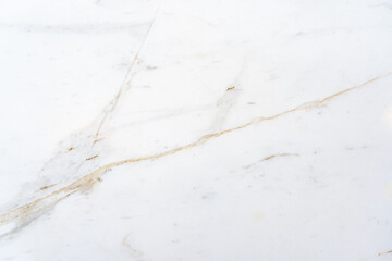 White marble wallpaper and background