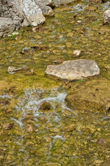 Flowing Stream in a Garden