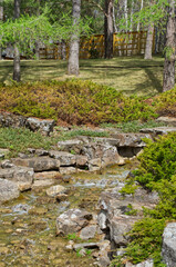 Flowing Stream in a Garden