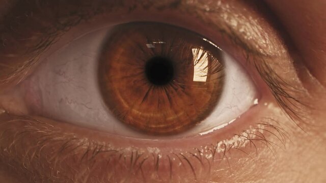 Human brown eye extrime close up