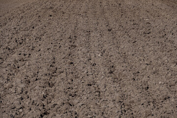 background texture of the surface of dried-out soil on the farm under the scorching sun 