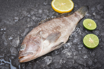 Grouper fish on ice with rosemary lemon, Fresh raw seafood fish for cooked food