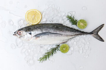 mackerel scad, Fish on ice for cooking food in the restaurant, Fresh fish raw torpedo scad with lemon, top view