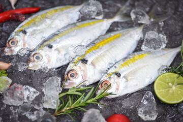 Fresh fish raw Yellow-stripe scad with lemon, Mackerel fish on ice for cooking food in the...