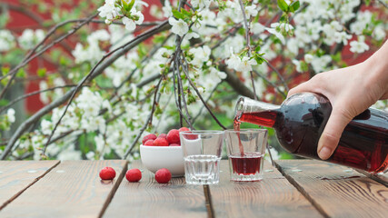 A woman fills a glass glass with cherry liqueur in a blooming garden.