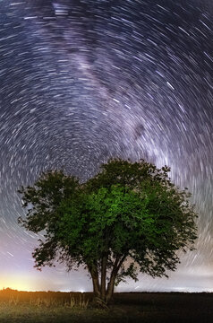 Startails