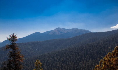 Pico de aguila