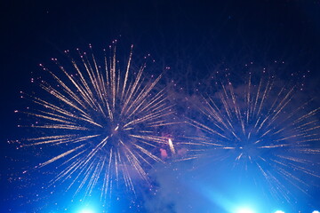 fireworks in the night sky