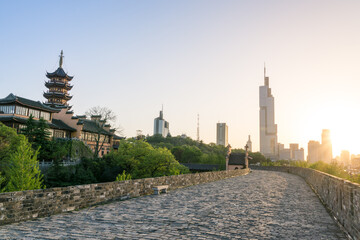Obraz premium Gardening and retro architecture in Xuanwu Lake Park, Nanjing, Jiangsu, China