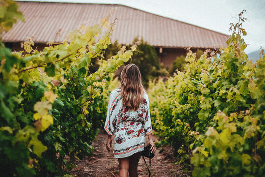mujer caminando por parras de uvas, observando cada detalle de las hojas