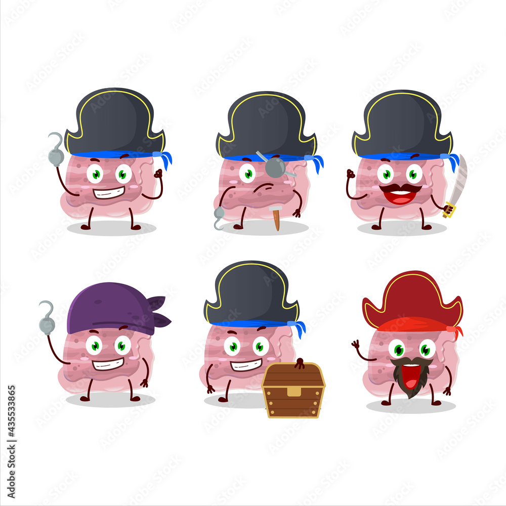 Wall mural Cartoon character of strawberry ice cream scoops with various pirates emoticons