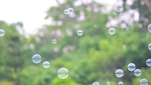 Soap bubbles floating in the air with natural green blurred bokeh background for children and kids in the park