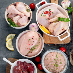 Raw chicken meat parts with spices and herbs for cooking on dark background.