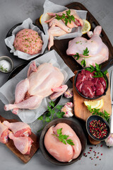 Raw chicken meat parts with spices and herbs for cooking on gray background.