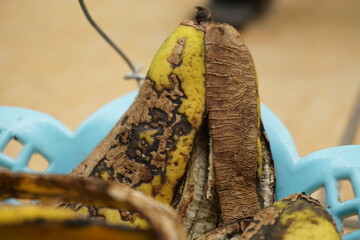 Piles of rotten pisan in a basket