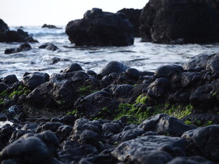 Fototapeta na wymiar Rocky ocean shore. Canary Islands, Tenerife