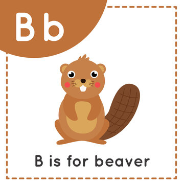 Learning English alphabet for kids. Letter B. Cute cartoon beaver.