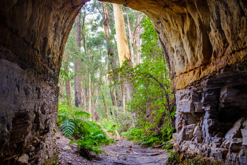 View out of disused tramway tunnel on Box Vale walking track Mittagong NSW Australia