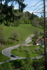 crooked road through black forest landscape