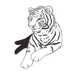 ホワイトタイガー