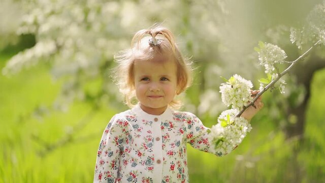 little girl at flowering tree in garden. seasonal allergies in children. 
