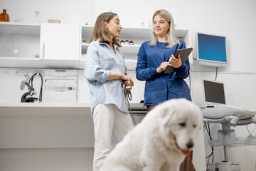 Big white dog sitting on the floor while the veterinarian doctor speaking with owner behind the pet. Focus on people. Doctor's appointment