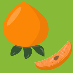 Bright vector illustration of a colorful persimmon
