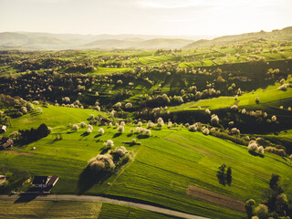 Spring landscape in Slovakia. Polana region, Hrinova. Green spring rural hills landscape, fields, flowering trees, organic farming © Zedspider